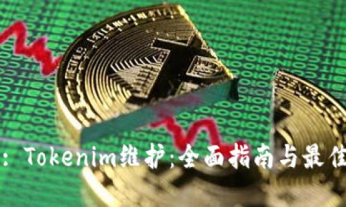 标题: Tokenim维护：全面指南与最佳实践