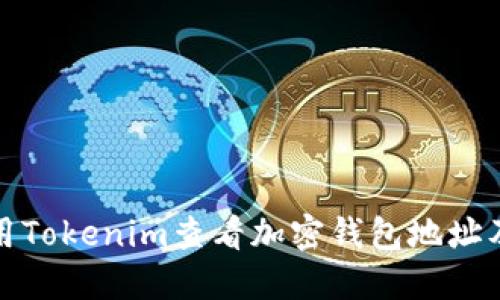 如何使用Tokenim查看加密钱包地址及其余额