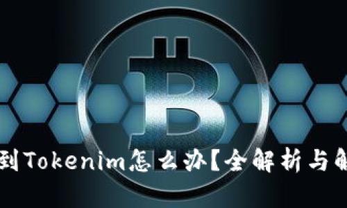 币转错到Tokenim怎么办？全解析与解决方案