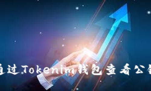 如何通过Tokenim钱包查看公链余额