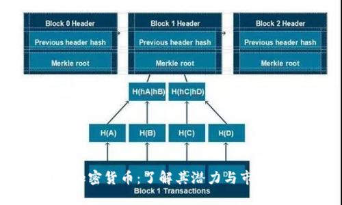 MOD加密货币:了解其潜力与市场趋势