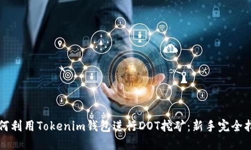 如何利用Tokenim钱包进行DOT挖矿：新手完全指南