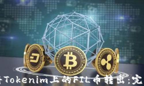 
如何将Tokenim上的FIL币转出：完整指南