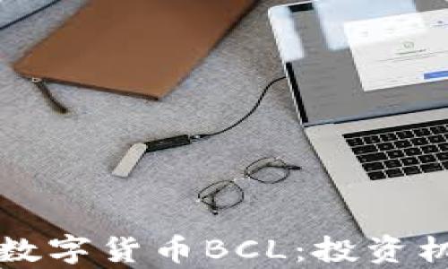 
全面解析加密数字货币BCL：投资机会与风险分析