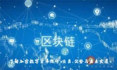 了解加密数字货币维卡:交易、优势与未来发展