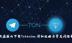 如何在国内下载Tokenim:详细攻略与常见问题解答