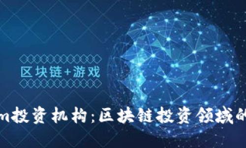 Tokenim投资机构:区块链投资领域的新宠儿