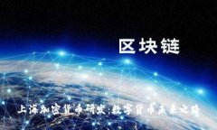 上海加密货币研发:数字货币未来之路