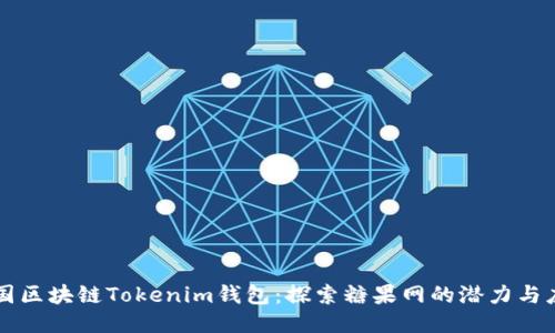 外国区块链Tokenim钱包:探索糖果网的潜力与应用