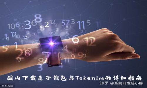 国内下载麦子钱包与Tokenim的详细指南