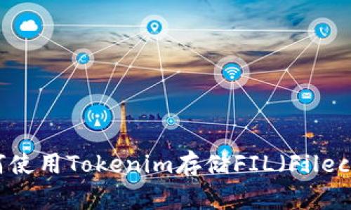 ### 如何使用Tokenim存储FIL(Filecoin)的指南