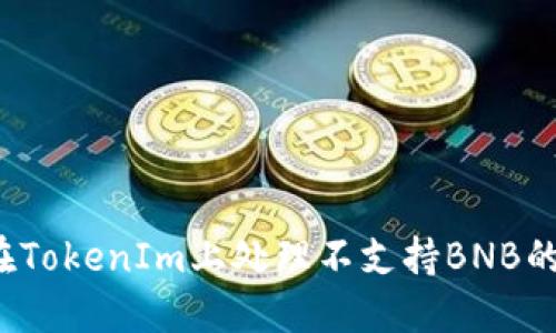 如何在TokenIm上处理不支持BNB的问题?