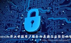 Tokenim停止中国用户服务的原因及后续影响分析