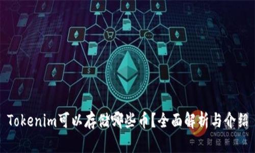 Tokenim可以存储哪些币？全面解析与介绍