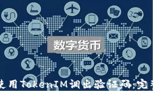 
如何使用TokenIM调出验证码：完整指南