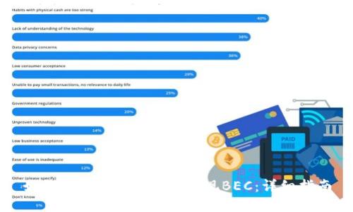 如何在Tokenim平台提现BEC：详细指南