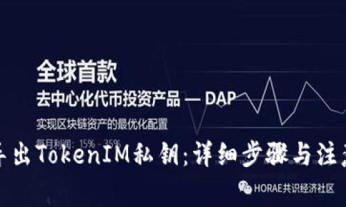 如何导出TokenIM私钥:详细步骤与注意事项