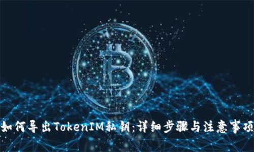 如何导出TokenIM私钥:详细步骤与注意事项