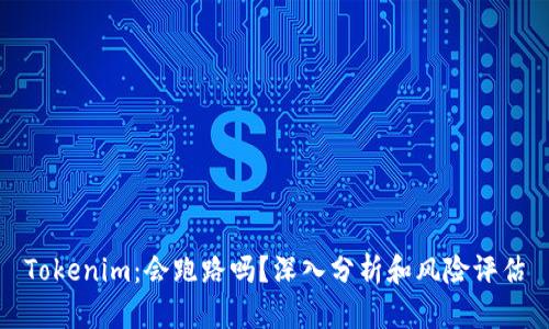Tokenim:会跑路吗?深入分析和风险评估