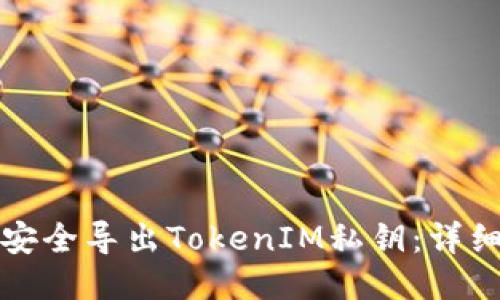 如何安全导出TokenIM私钥:详细指南
