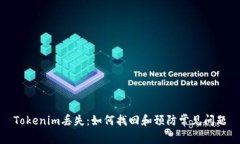 Tokenim丢失:如何找回和预防常见问题