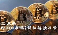思考一个接近且的 Tokenim支持KIN币吗?详细解读