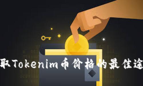 获取Tokenim币价格的最佳途径