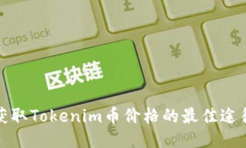 获取Tokenim币价格的最佳途径