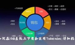 如何在iOS系统上下载和使用Tokenim:详细指南
