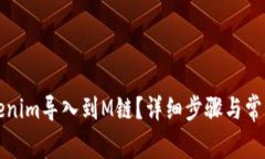 如何将Tokenim导入到M链?详细步骤与常见问题解析