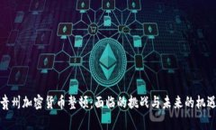 贵州加密货币整顿:面临的挑战与未来的机遇