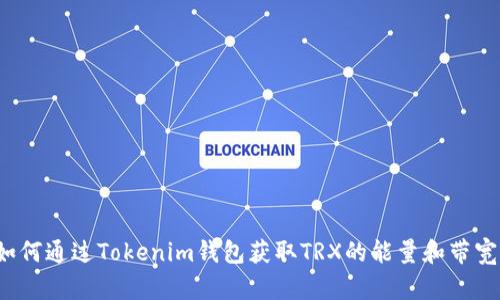 如何通过Tokenim钱包获取TRX的能量和带宽?
