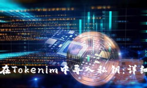 如何在Tokenim中导入私钥:详细指南