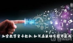 加密数字货币投机:如何在波动市场中获利