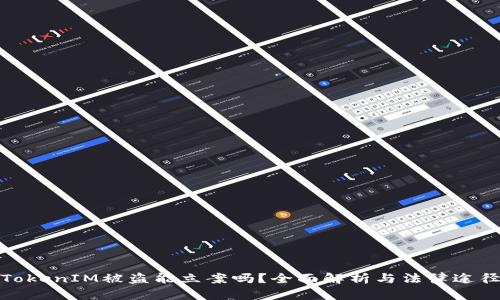 TokenIM被盗能立案吗?全面解析与法律途径