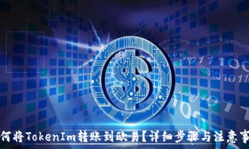 如何将TokenIm转账到欧易?详细步骤与注意事项