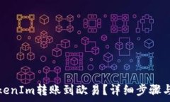 如何将TokenIm转账到欧易?详细步骤与注意事项