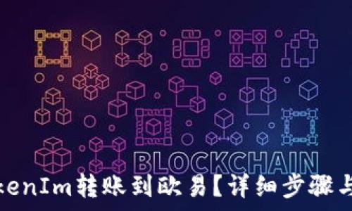 如何将TokenIm转账到欧易?详细步骤与注意事项
