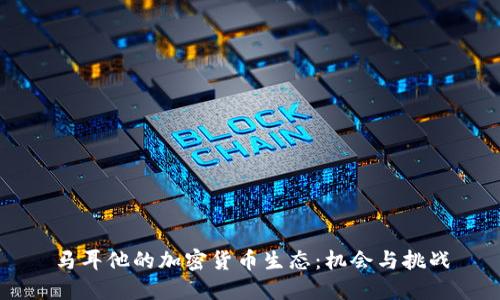 马耳他的加密货币生态:机会与挑战