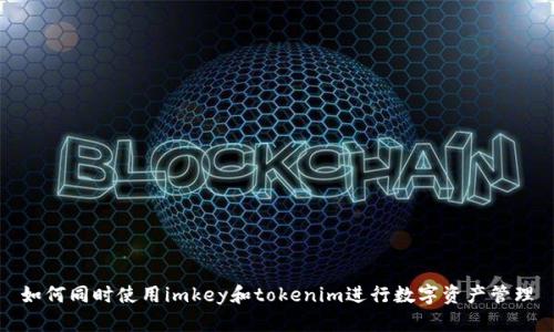 如何同时使用imkey和tokenim进行数字资产管理
