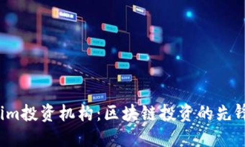 Tokenim投资机构:区块链投资的先锋与未来