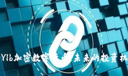 深入了解Ylb加密数字货币:未来的投资机遇与风险
