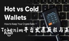 ### Tokenim平台发展历程与未来展望