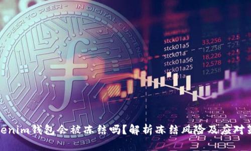 Tokenim钱包会被冻结吗？解析冻结风险及应对策略
