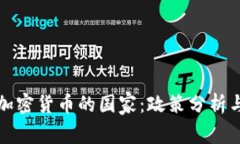 全球支持加密货币的国家:政策分析与市场前景