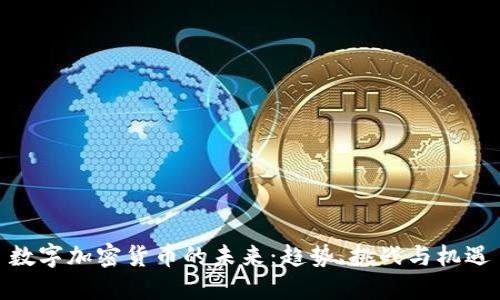 数字加密货币的未来:趋势、挑战与机遇