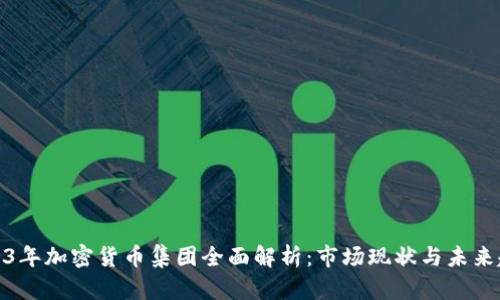 2023年加密货币集团全面解析:市场现状与未来趋势