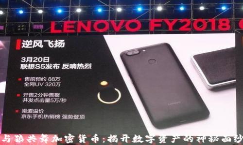 与狼共舞加密货币:揭开数字资产的神秘面纱