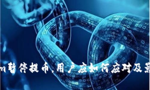 Tokenim暂停提币,用户应如何应对及影响分析