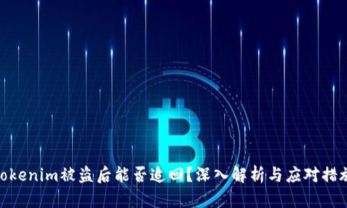Tokenim被盗后能否追回?深入解析与应对措施